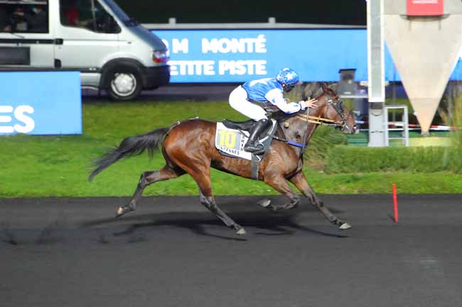 Photo d'arrivée de la course pmu PRIX LACERTA à PARIS-VINCENNES le Mardi 3 novembre 2020