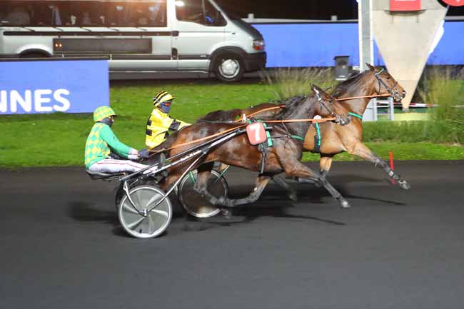 Photo d'arrivée de la course pmu PRIX LEDA à PARIS-VINCENNES le Mardi 3 novembre 2020