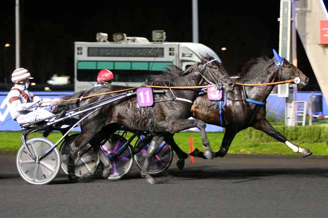 Photo d'arrivée de la course pmu PRIX GEMINUS à PARIS-VINCENNES le Mardi 3 novembre 2020