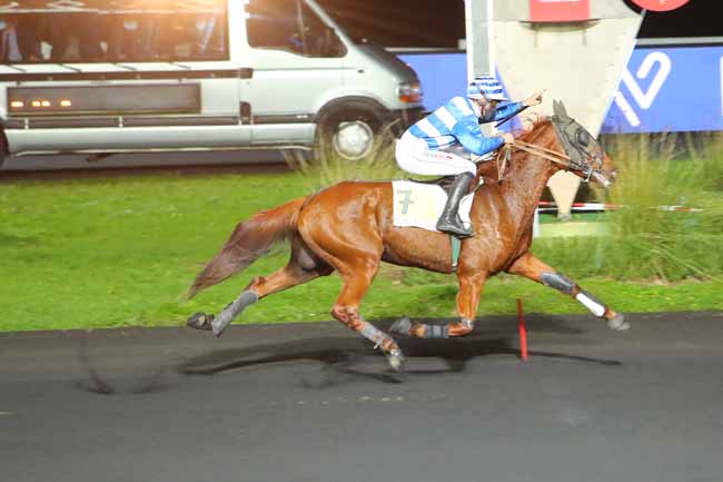 Photo d'arrivée de la course pmu PRIX MERAK à PARIS-VINCENNES le Mardi 3 novembre 2020