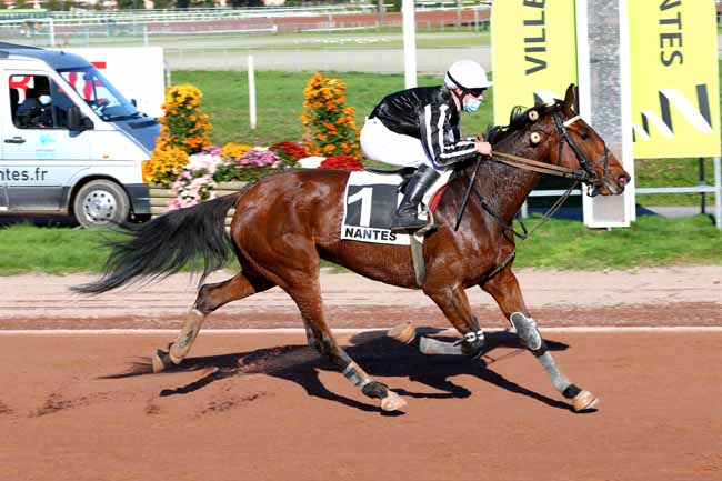 Photo d'arrivée de la course pmu PRIX EN SELLE POUR NOS SOIGNANTS à NANTES le Mercredi 4 novembre 2020