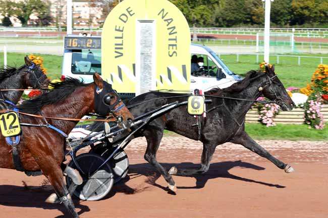 Photo d'arrivée de la course pmu GRAND NATIONAL DU TROT PARIS-TURF à NANTES le Mercredi 4 novembre 2020