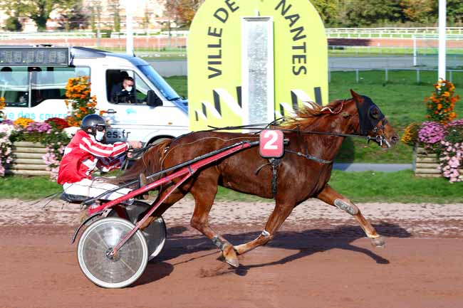 Photo d'arrivée de la course pmu PRIX NICOLAS à NANTES le Mercredi 4 novembre 2020