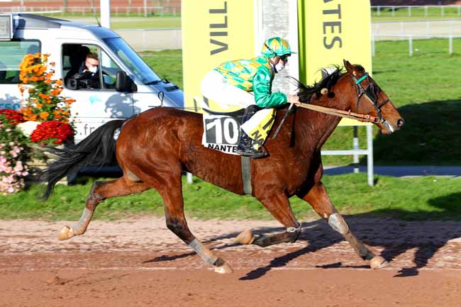 Photo d'arrivée de la course pmu GRAND PRIX SYNERGIE à NANTES le Mercredi 4 novembre 2020