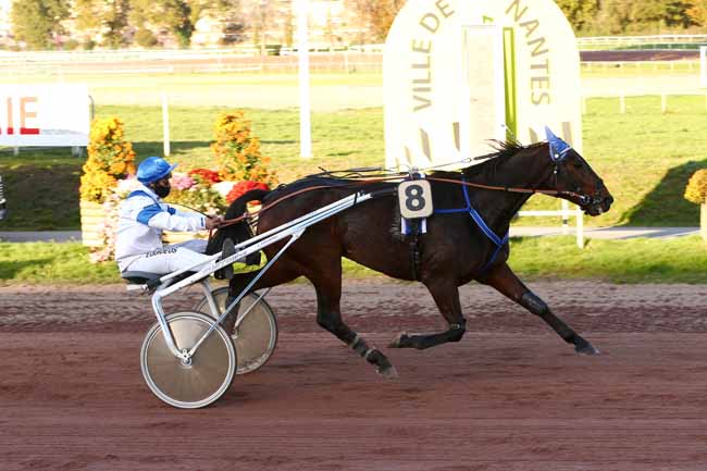 Photo d'arrivée de la course pmu PRIX FACEBOOK INSTAGRAM HIPPODROME NANTES à NANTES le Mercredi 4 novembre 2020