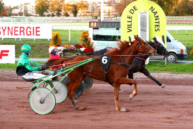 Photo d'arrivée de la course pmu PRIX ONIRIS NANTES à NANTES le Mercredi 4 novembre 2020