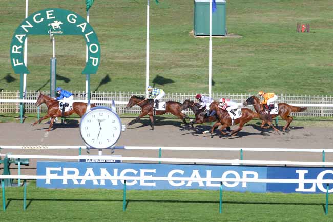 Photo d'arrivée de la course pmu PRIX DU COQ CHANTANT à CHANTILLY le Mercredi 4 novembre 2020
