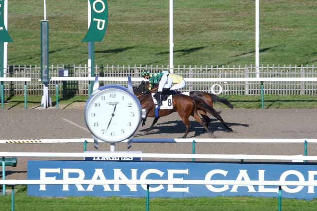 Photo d'arrivée de la course pmu PRIX DU BOIS DE LA TUILERIE à CHANTILLY le Mercredi 4 novembre 2020