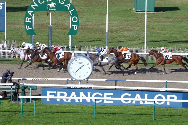 Photo d'arrivée de la course pmu PRIX DU PONT SAINTE-MAXENCE à CHANTILLY le Mercredi 4 novembre 2020