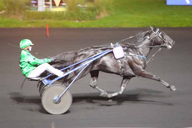 Photo d'arrivée de la course pmu PRIX CAMPANUS à PARIS-VINCENNES le Vendredi 6 novembre 2020