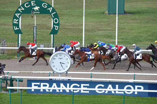 Photo d'arrivée de la course pmu PRIX DU CABINET DES GEMMES à CHANTILLY le Vendredi 6 novembre 2020