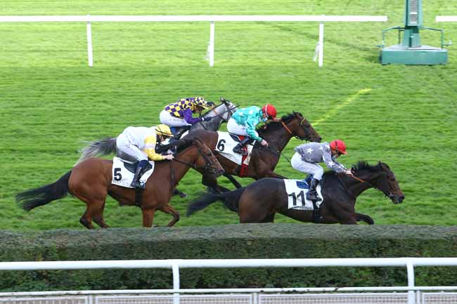 Photo d'arrivée de la course pmu PRIX DE LA FRETTE à SAINT-CLOUD le Samedi 7 novembre 2020
