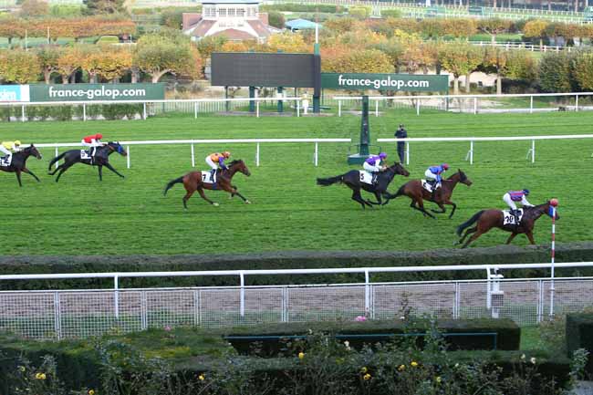 Photo d'arrivée de la course pmu PRIX BUBBLES à SAINT-CLOUD le Samedi 7 novembre 2020