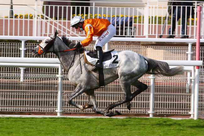 Photo d'arrivée de la course pmu PRIX CARMARTHEN à AUTEUIL le Dimanche 8 novembre 2020