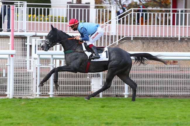 Photo d'arrivée de la course pmu HARAS D'ETREHAM - PRIX BOURNOSIENNE à AUTEUIL le Dimanche 8 novembre 2020