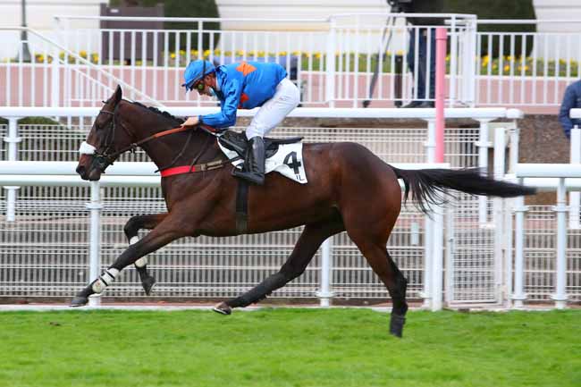Photo d'arrivée de la course pmu PRIX CAMBACERES - GRANDE COURSE DE HAIES DES 3 ANS à AUTEUIL le Dimanche 8 novembre 2020