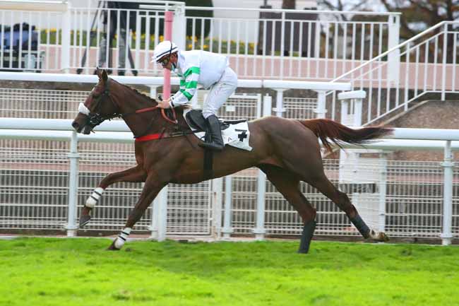 Photo d'arrivée de la course pmu PRIX BERNARD SECLY à AUTEUIL le Dimanche 8 novembre 2020