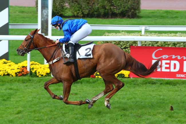 Photo d'arrivée de la course pmu PRIX LORD MAGIQUE à ANGERS le Lundi 9 novembre 2020