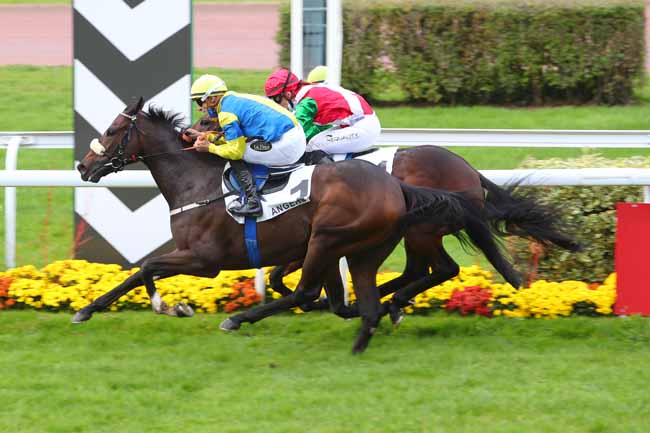 Photo d'arrivée de la course pmu PRIX CLAUDE MUNET - GRAND PRIX D'ANGERS à ANGERS le Lundi 9 novembre 2020