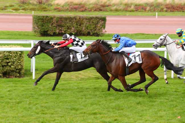 Photo d'arrivée de la course pmu HANDICAP D'ANGERS LOIRE METROPOLE à ANGERS le Lundi 9 novembre 2020