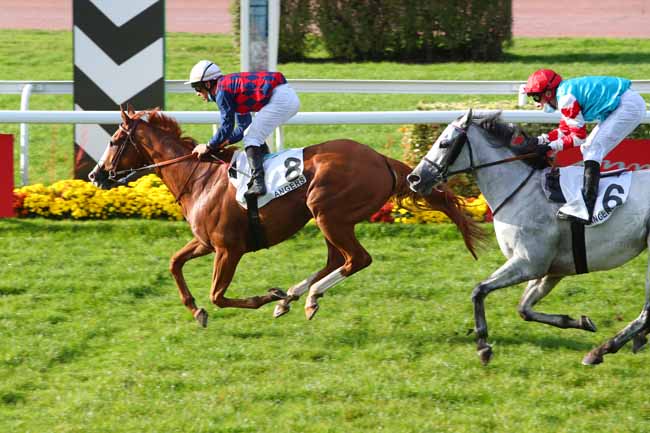 Photo d'arrivée de la course pmu PRIX DES JARDINS DU MAIL à ANGERS le Lundi 9 novembre 2020