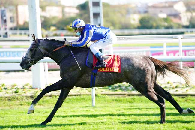 Photo d'arrivée de la course pmu CRITERIUM DU LANGUEDOC - PRIX BERNARD DE MARMIESSE à TOULOUSE le Mercredi 11 novembre 2020