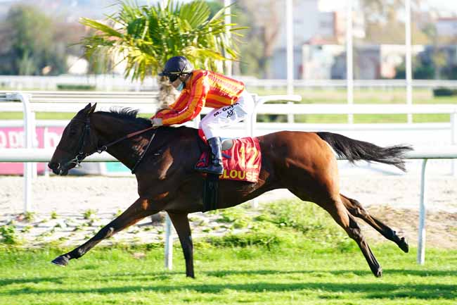 Photo d'arrivée de la course pmu PRIX DE LA VILLE DE TOULOUSE à TOULOUSE le Mercredi 11 novembre 2020