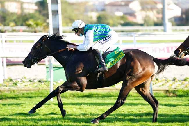 Photo d'arrivée de la course pmu PRIX FILLE DE L'AIR à TOULOUSE le Mercredi 11 novembre 2020