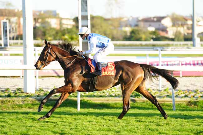 Photo d'arrivée de la course pmu PRIX DE SAINT-CYPRIEN à TOULOUSE le Mercredi 11 novembre 2020