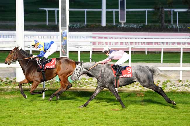 Photo d'arrivée de la course pmu PRIX D'ASSEZAT à TOULOUSE le Mercredi 11 novembre 2020