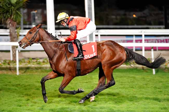 Photo d'arrivée de la course pmu GRAND NATIONAL DES ANGLO-ARABES A 12.5 % à TOULOUSE le Mercredi 11 novembre 2020