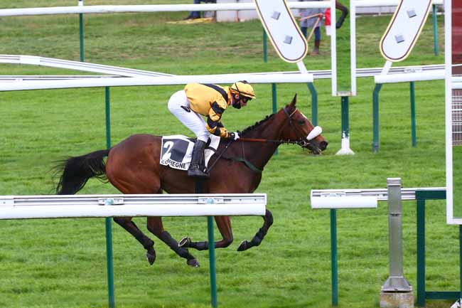 Photo d'arrivée de la course pmu STEEPLE-CHASE NATIONAL DES ANGLO-ARABES à COMPIEGNE le Mercredi 11 novembre 2020
