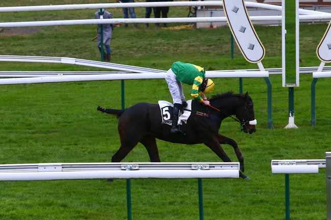 Photo d'arrivée de la course pmu GRAND STEEPLE-CHASE - CROSS-COUNTRY DE COMPIEGNE à COMPIEGNE le Mercredi 11 novembre 2020