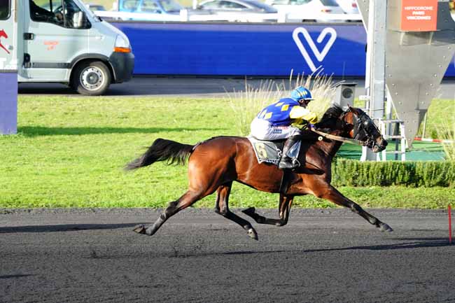 Photo d'arrivée de la course pmu PRIX DU GRAND-FOUGERAY à PARIS-VINCENNES le Jeudi 12 novembre 2020