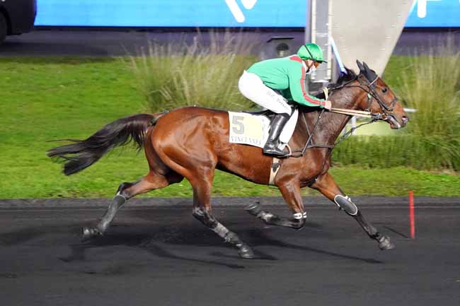 Photo d'arrivée de la course pmu PRIX DE VALENCIENNES à PARIS-VINCENNES le Jeudi 12 novembre 2020