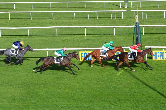 Photo d'arrivée de la course pmu PRIX DE LA TOUCHE AUX MULETS à FONTAINEBLEAU le Jeudi 12 novembre 2020