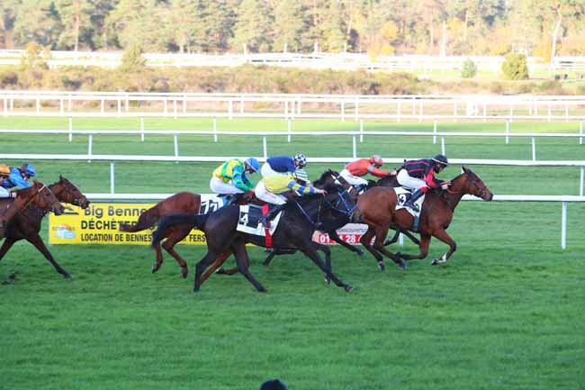 Photo d'arrivée de la course pmu PRIX DE LA SAPINIERE à FONTAINEBLEAU le Jeudi 12 novembre 2020