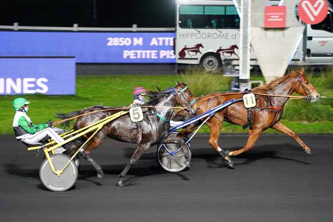 Photo d'arrivée de la course pmu PRIX CALLIOPE à PARIS-VINCENNES le Vendredi 13 novembre 2020