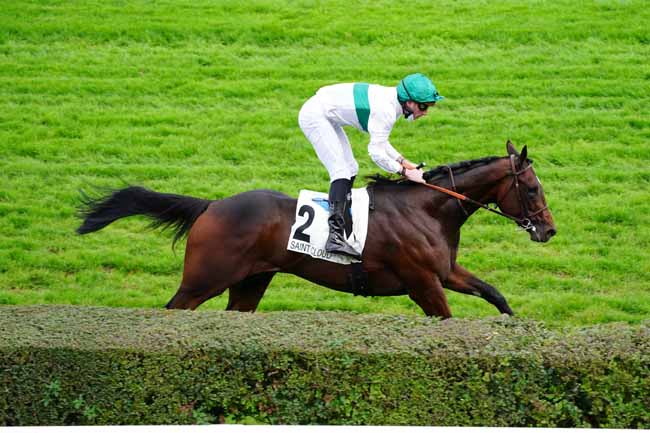 Photo d'arrivée de la course pmu PRIX TANERKO à SAINT-CLOUD le Vendredi 13 novembre 2020