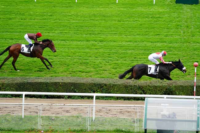 Photo d'arrivée de la course pmu PRIX URGENCE à SAINT-CLOUD le Vendredi 13 novembre 2020
