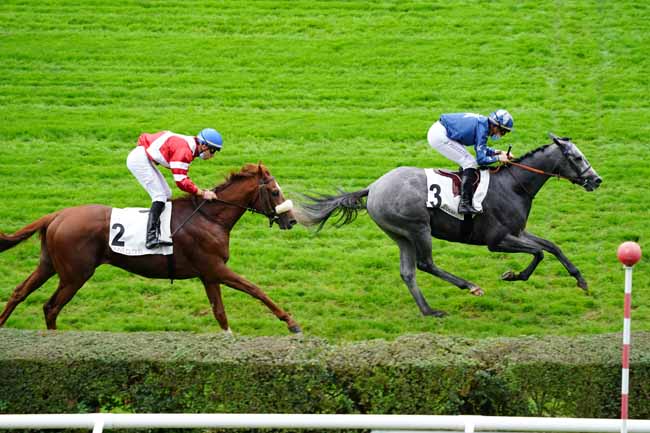 Photo d'arrivée de la course pmu PRIX RHEINGOLD à SAINT-CLOUD le Vendredi 13 novembre 2020