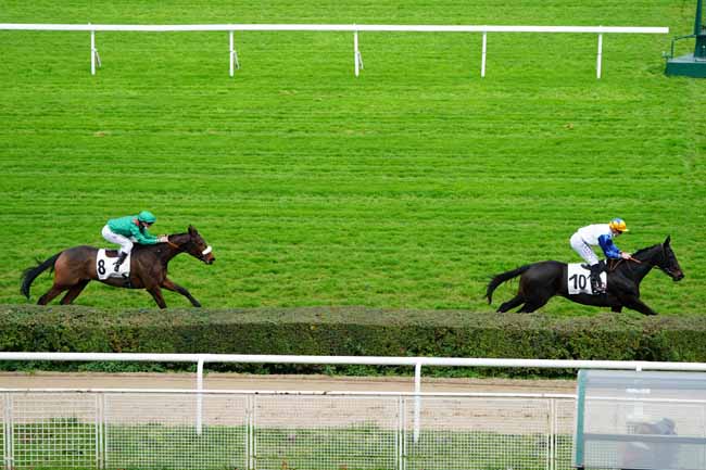 Photo d'arrivée de la course pmu PRIX DENISY à SAINT-CLOUD le Vendredi 13 novembre 2020