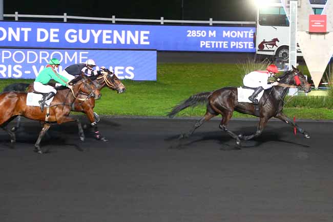 Photo d'arrivée de la course pmu PRIX DE MIRAMONT-DE-GUYENNE à PARIS-VINCENNES le Lundi 16 novembre 2020