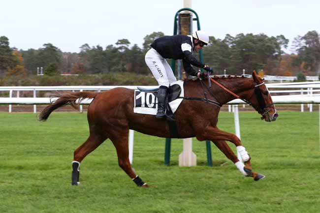 Photo d'arrivée de la course pmu PRIX COLONEL BEAUJEAN à FONTAINEBLEAU le Lundi 16 novembre 2020