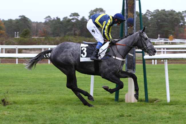 Photo d'arrivée de la course pmu PRIX ANDRE PAROT à FONTAINEBLEAU le Lundi 16 novembre 2020
