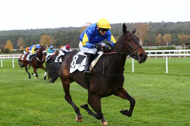 Photo d'arrivée de la course pmu PRIX DU CARREFOUR DU NID DE L'AIGLE à FONTAINEBLEAU le Lundi 16 novembre 2020