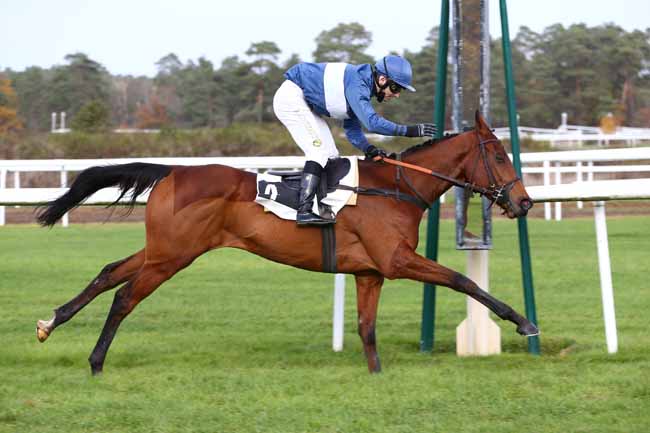 Photo d'arrivée de la course pmu PRIX DE LA ROUTE AMELIE à FONTAINEBLEAU le Lundi 16 novembre 2020