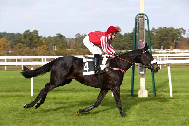 Photo d'arrivée de la course pmu PRIX DU THEATRE IMPERIAL DU CHATEAU DE FONTAINBLEAU à FONTAINEBLEAU le Lundi 16 novembre 2020