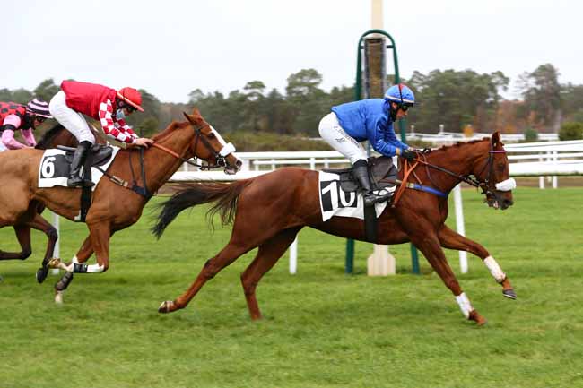 Photo d'arrivée de la course pmu PRIX PAIUTE à FONTAINEBLEAU le Lundi 16 novembre 2020