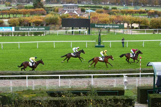 Photo d'arrivée de la course pmu PRIX PHARSALE à SAINT-CLOUD le Mardi 17 novembre 2020